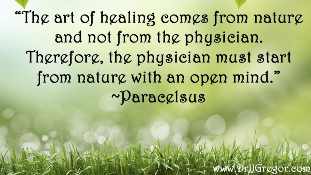 the art of healing comes from nature quote biolife zaytouna